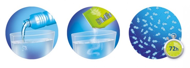 Mořské příšerky - žábronožka solná