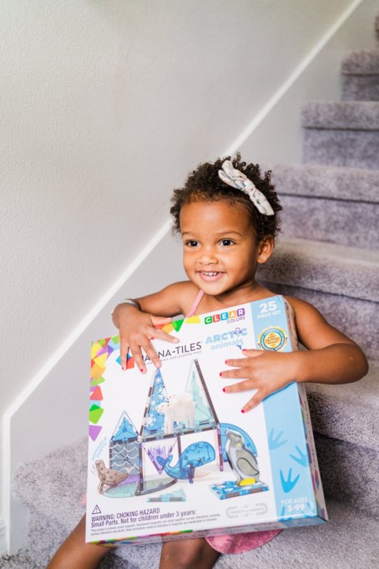 Magnetická stavebnice Magna Tiles Arctic Animals 25 dílů