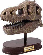 Vykopávky pro děti - Lebka T-Rex