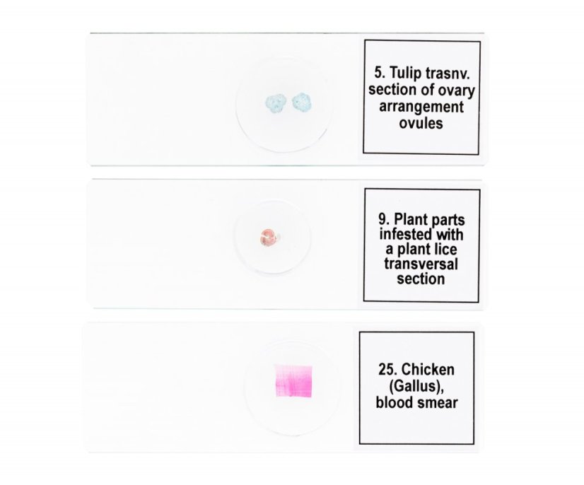 Mikroskopické preparáty Discovery 25 - Rostliny a Živočichy