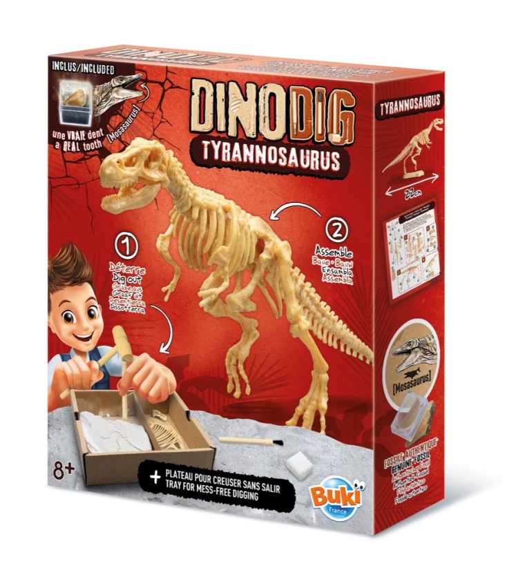 Dinodig vykopávka a kostra Tyranosaurus
