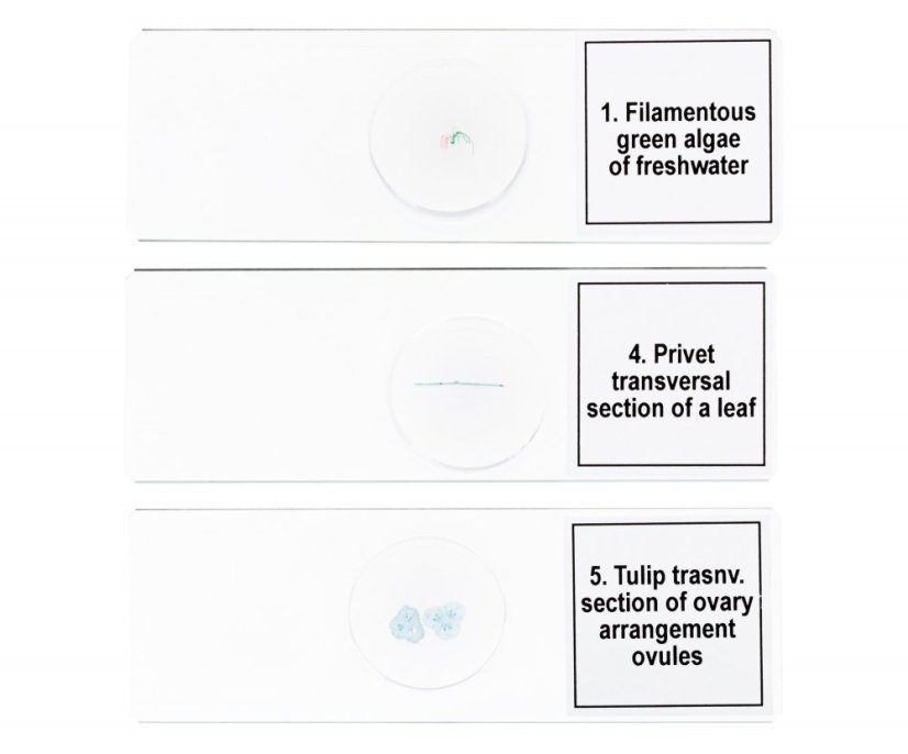 Mikroskopické preparáty Discovery Biologie