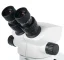 Okuláre Binokulárny Mikroskop Levenhuk ZOOM 1B