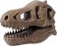 Vykopávky pre deti - Lebka T-Rex