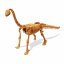 Kostra dinosaura - vykopavky dinosaurov Brachiosaurus detail