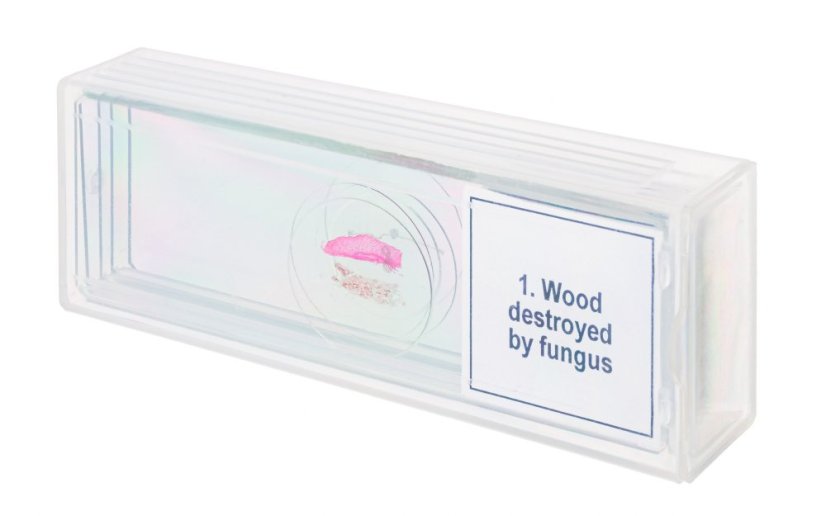 Mikroskopické preparáty Discovery Mutace