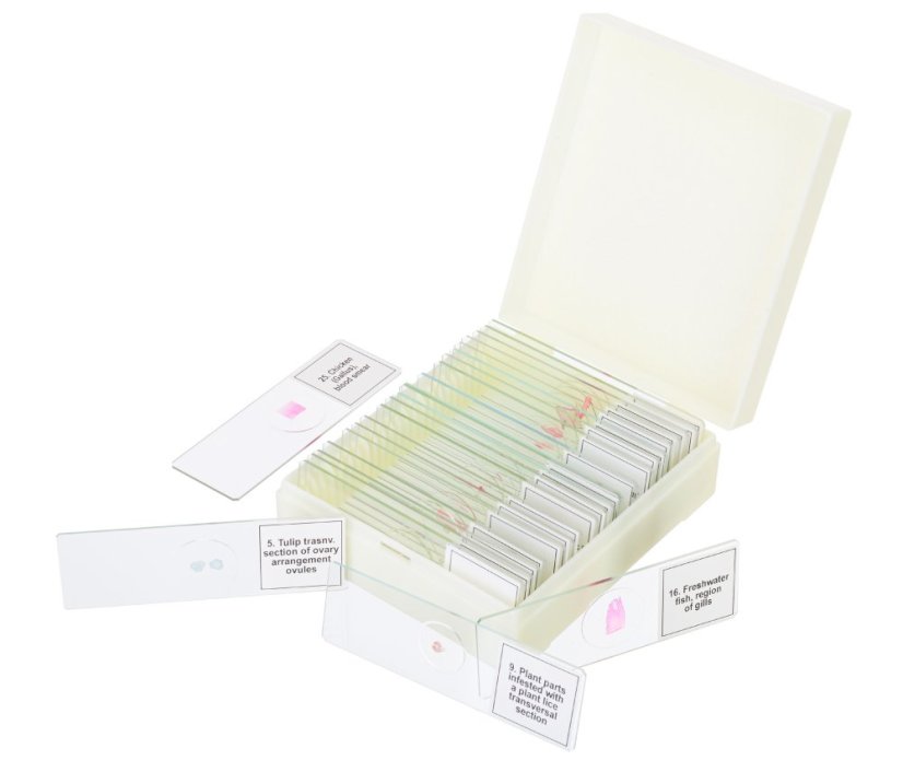 Mikroskopické preparáty Discovery 25 - Rostliny a Živočichy