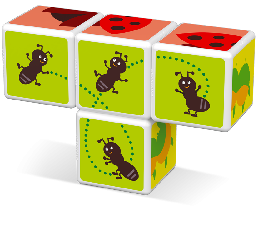 Magicube Insects - Magnetické kocky Svet Hmyzu 4 diely