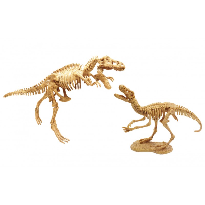 Vykopávky 2 dinosaurov