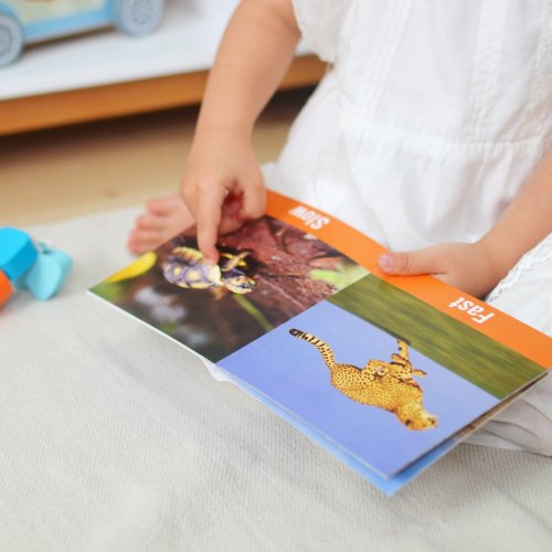 Edukačný box Maxi pre deti od 19 do 24 mesiacov