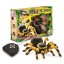 Tarantula na diaľkové ovládanie