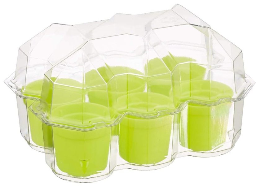 Mimóza – miniskleník pro děti