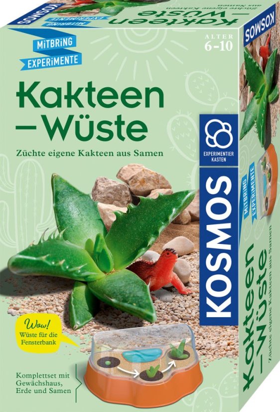Kaktus na poušti - miniskleník pro děti