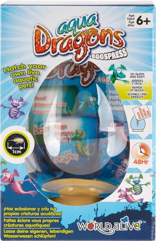 Vodné dráčiky žiabronôžka soľná - EggSpress