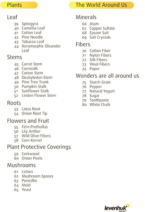 Preparáty pod mikroskop N80 NG - zoznam preparátov 2