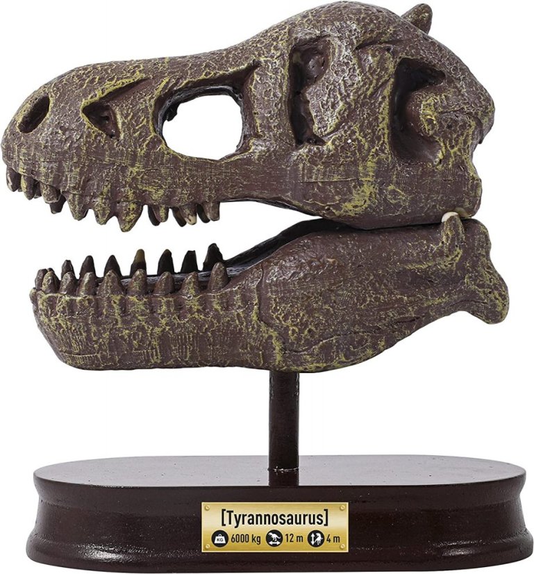 Vykopávky pro děti - Lebka T-Rex