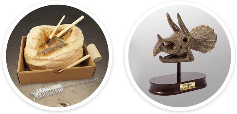 Vykopávky pro děti - Lebka Triceratops