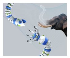 Bionické robotické rameno