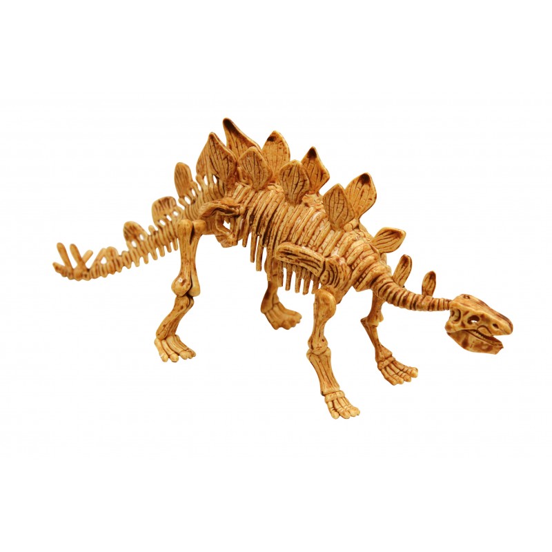 Kostra dinosaura - vykopávky dinosaurů Stegosaurus