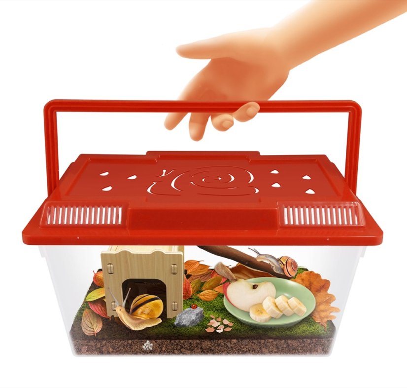 Miniterárium pro šneky