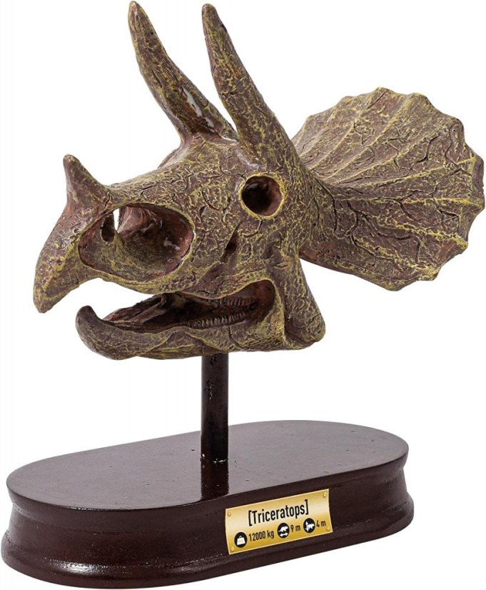 Lebka Triceratops - vykopávky pre deti