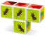 Magicube Insects - Magnetické kocky Svet Hmyzu 4 diely