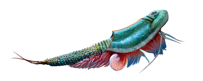 Triops World - prehistorický život