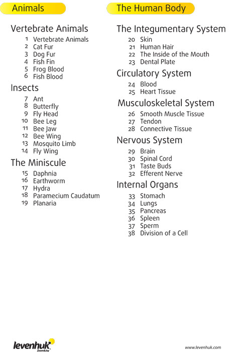 Preparáty pod mikroskop N80 NG - zoznam preparátov 