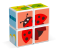 Magicube Insects - Magnetické kocky Svet Hmyzu 4 diely