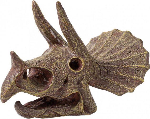 Vykopávky pre deti - Lebka Triceratops