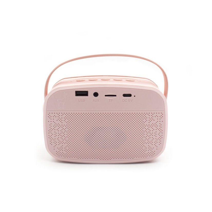 Bluetooth Karaoke párty set pro děti + 2 mikrofony Rose