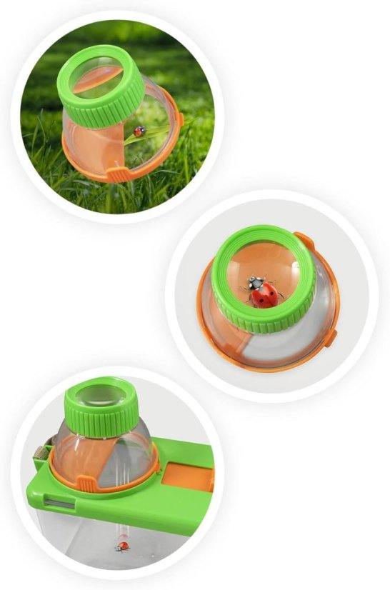 Terárium pro pozorování hmyzu