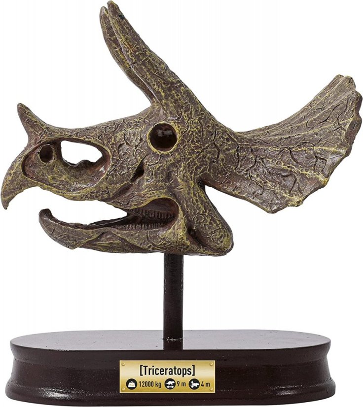 Vykopávky pro děti - Lebka Triceratops