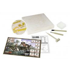 Vykopávky 2 dinosaurů