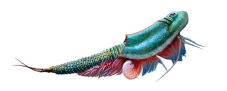 Triops World - prehistorický život
