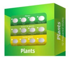 Preparaty pod mikroskop - rastliny