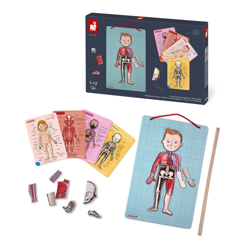 Magnetická skládačka Lidské tělo Bodymagnet Janod