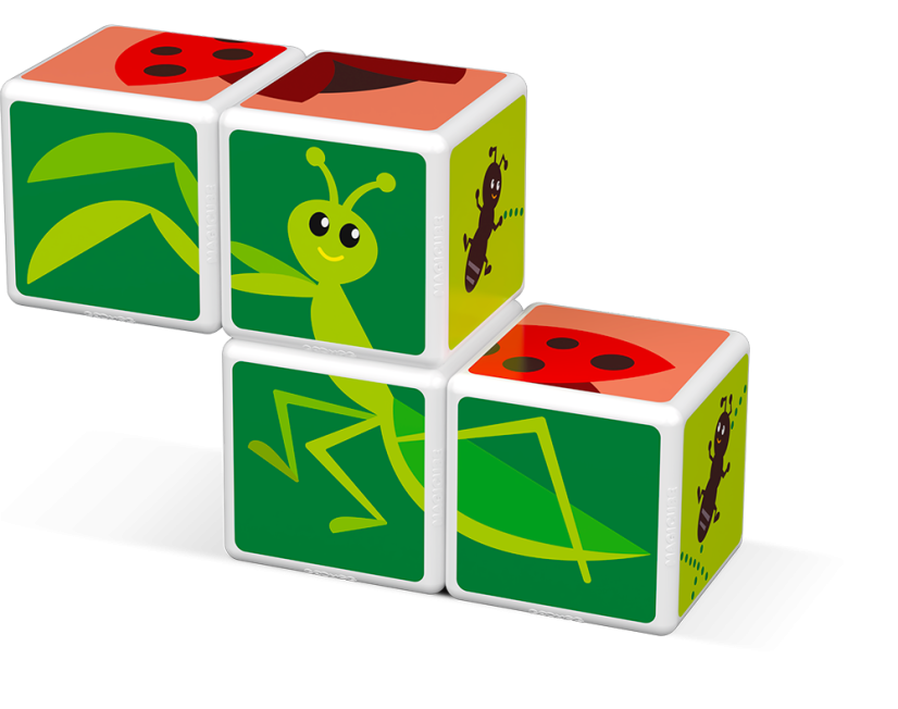 Magicube Insects -  Magnetické kostky Svět hmyzu 4 díly