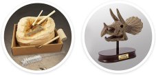 Vykopávky pre deti - Lebka Triceratops