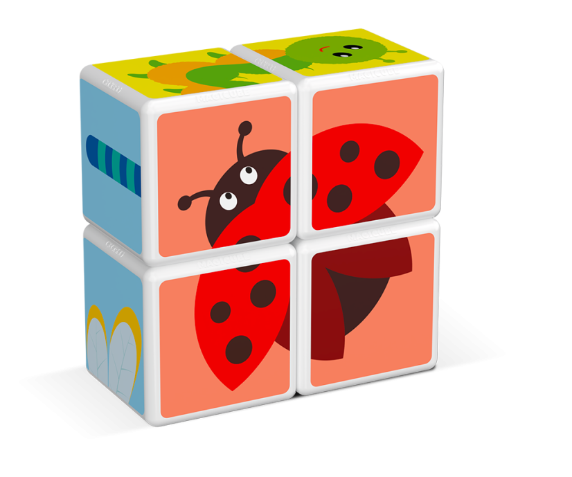 Magicube Insects - Magnetické kocky Svet Hmyzu 4 diely