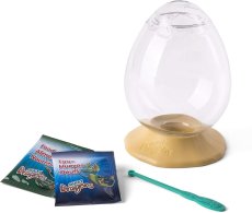 Vodné dráčiky žiabronôžka soľná - EggSpress