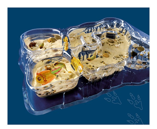 Triops World - prehistorický život