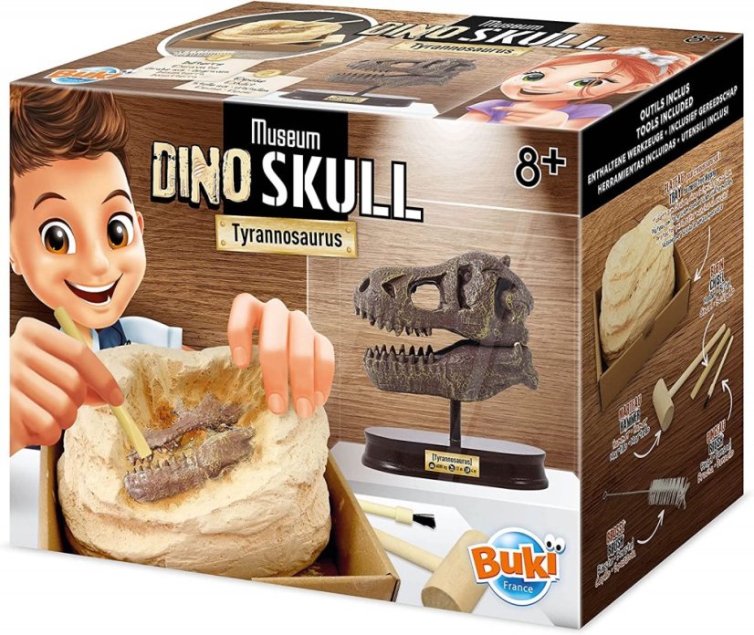 Vykopávky pro děti - Lebka T-Rex