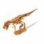 Kostra dinosaura - vykopavky dinosaurov T-Rex detail