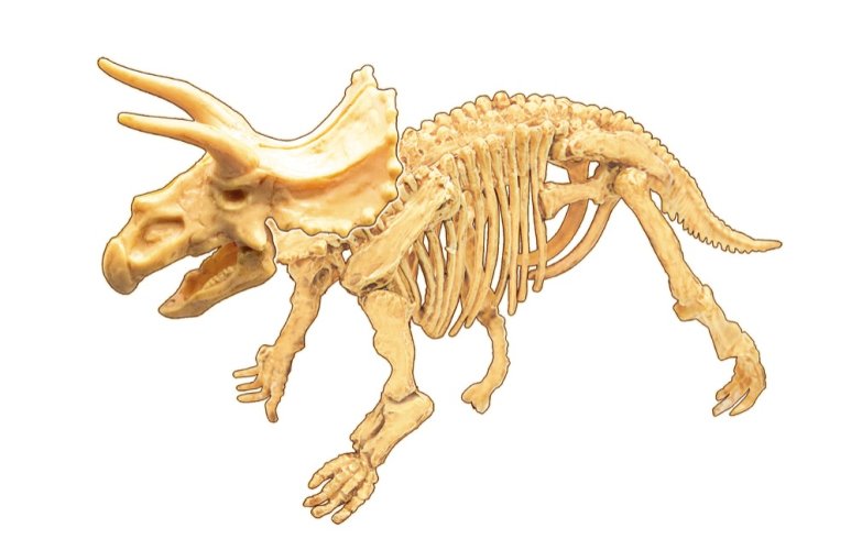 Dinodig vykopávka a kostra Triceratops