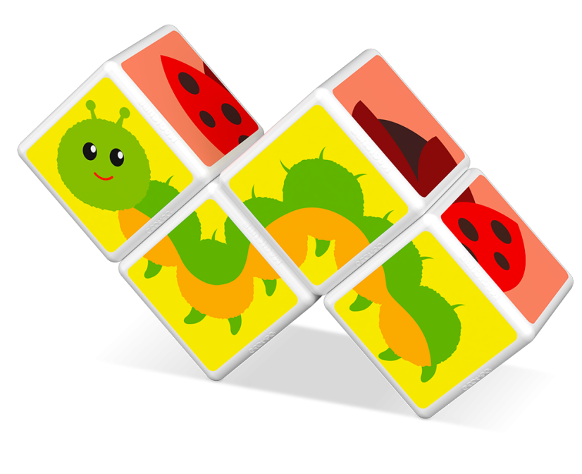 Magicube Insects -  Magnetické kostky Svět hmyzu 4 díly