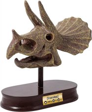 Lebka Triceratops - vykopávky pre deti