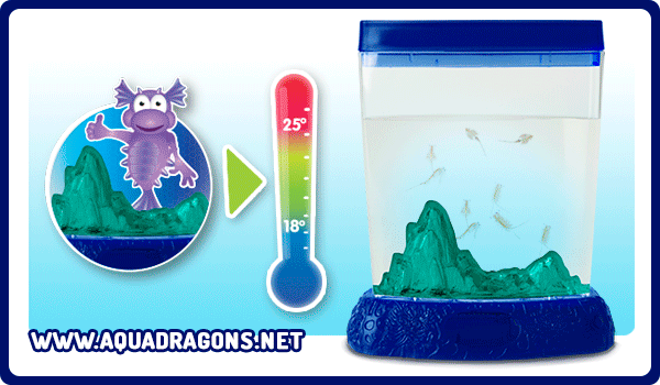 Vodní dráčci v akváriu s indikátorem teploty vody