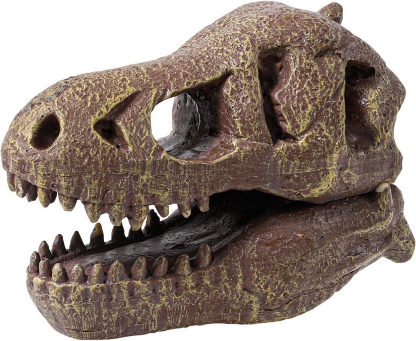 Vykopávky pro děti - Lebka T-Rex