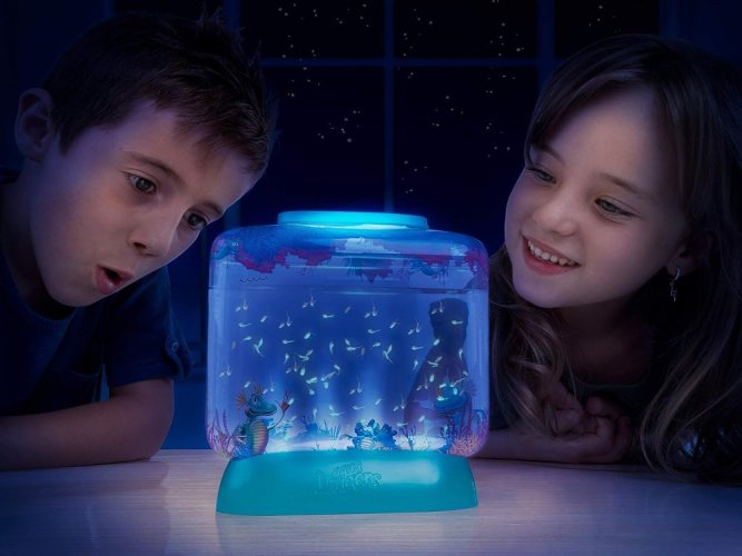 Vodné dráčiky žiabronôžka soľná - Akvárium s LED